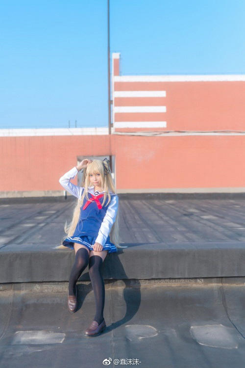 猫咪神秘消失5年后出现 将跃半个美国与主人团聚-开元体育官网(图1) 开元体育官方网站