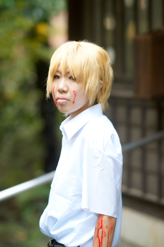 开元体育平台:猫咪神秘消失5年后出现 将跃半个美国与主人团聚(图4) 开元体育